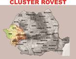 Logo Cluster ROVEST